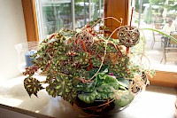 Hotel Landgasthof Hofmeier